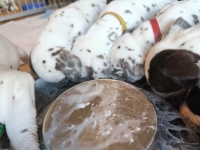 IMG_20250128_110852_web