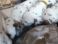 IMG_20250128_110855_web