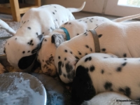 IMG_20250128_110902_web