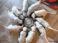 IMG_20250128_110920_web