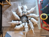 IMG_20250128_110930_web