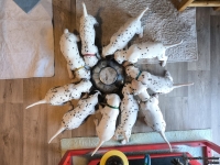 IMG_20250128_110940_web