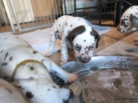 IMG_20250128_111201_web