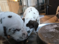 IMG_20250128_111203_web