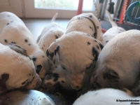 IMG_20250128_111213_web