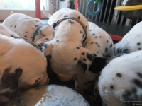 IMG_20250128_111217_web