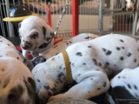 IMG_20250128_111223_web