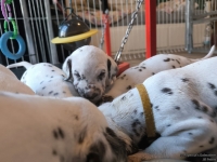 IMG_20250128_111224_web