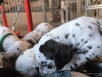 IMG_20250128_111234_web