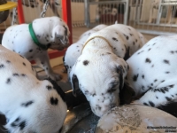 IMG_20250128_111236_web