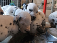 IMG_20250128_111250_web