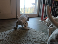 IMG_20250128_111305_web