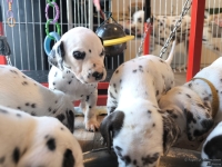 IMG_20250128_111317_web