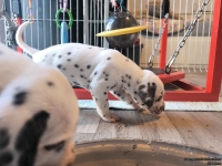 IMG_20250128_111352_web