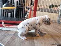 IMG_20250128_111359_web