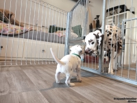 IMG_20250128_111404_web