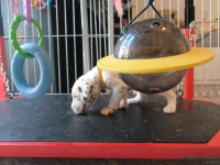 IMG_20250128_111648_web