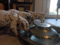 IMG_20250128_111744_web