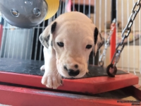 IMG_20250128_111808_web