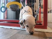 IMG_20250128_111809_web