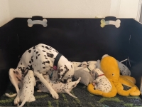 IMG_20250128_113153_web