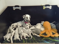 IMG_20250128_113843_web