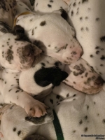 IMG_20250128_164216_web