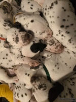 IMG_20250128_164222_web