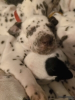 IMG_20250128_164245_web