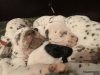 IMG_20250128_164250_web