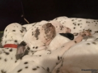 IMG_20250128_164258_web