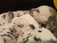 IMG_20250128_164307_web