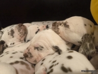 IMG_20250128_164309_web