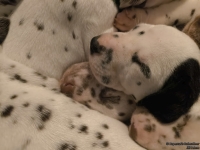 IMG_20250128_164323_1_web