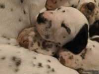 IMG_20250128_164326_web