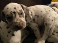 IMG_20250128_164334_web