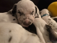 IMG_20250128_164353_web