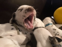 IMG_20250128_164359_web