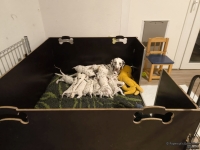 IMG_20250128_184539_web