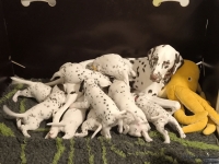 IMG_20250128_184549_web