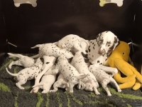 IMG_20250128_184551_web