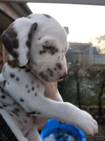 IMG_20250203_154810_web