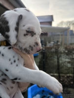 IMG_20250203_154811_web