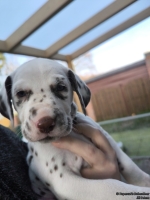 IMG_20250203_154818_web