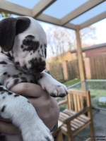 IMG_20250203_154832_web