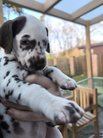 IMG_20250203_154833_web