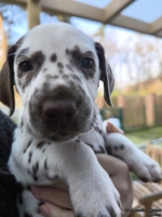 IMG_20250203_154835_web