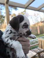 IMG_20250203_154837_web