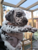 IMG_20250203_154852_web