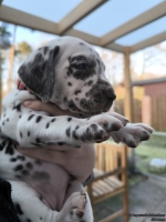 IMG_20250203_154854_web